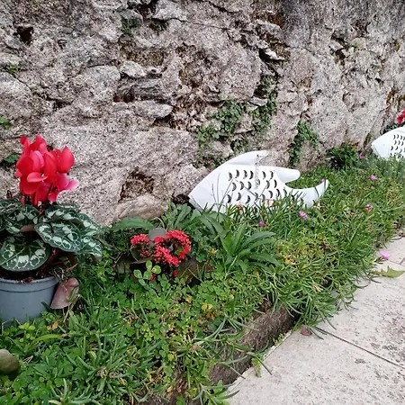 Casa Betty View - * Бавено