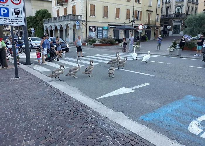 Casa Betty View - Feriehus *